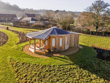 Larch or Cedar Rotunda Cladding: Which Is Best?