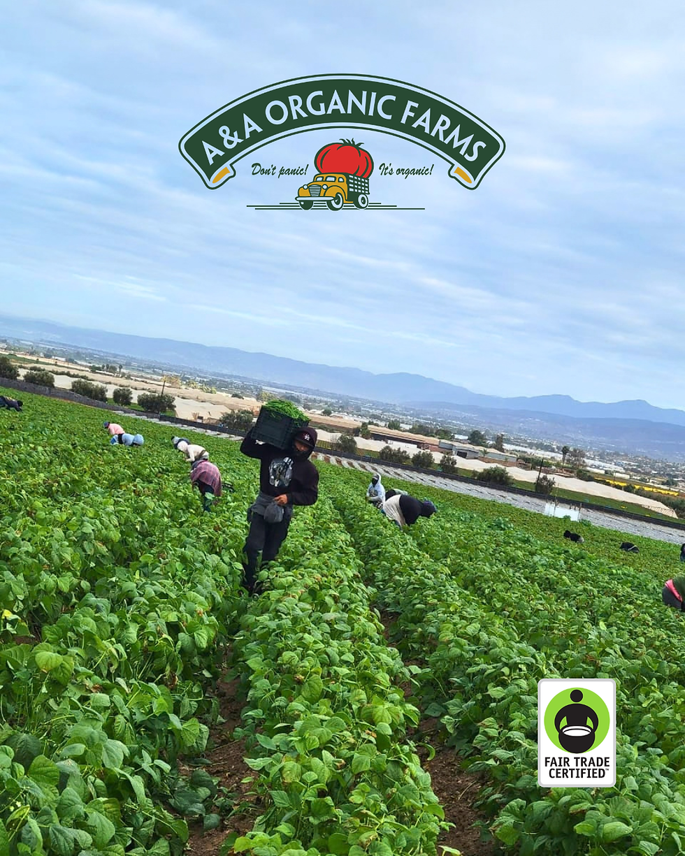 Fair Trade Month: Celebrating the People Behind Our Produce 🌎