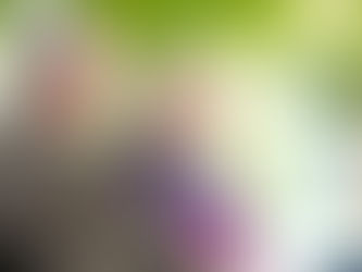 Budget Deal Curbs Social Security Claiming Options