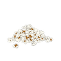 1 Day (2).png