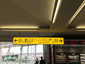 image1.jpeg
