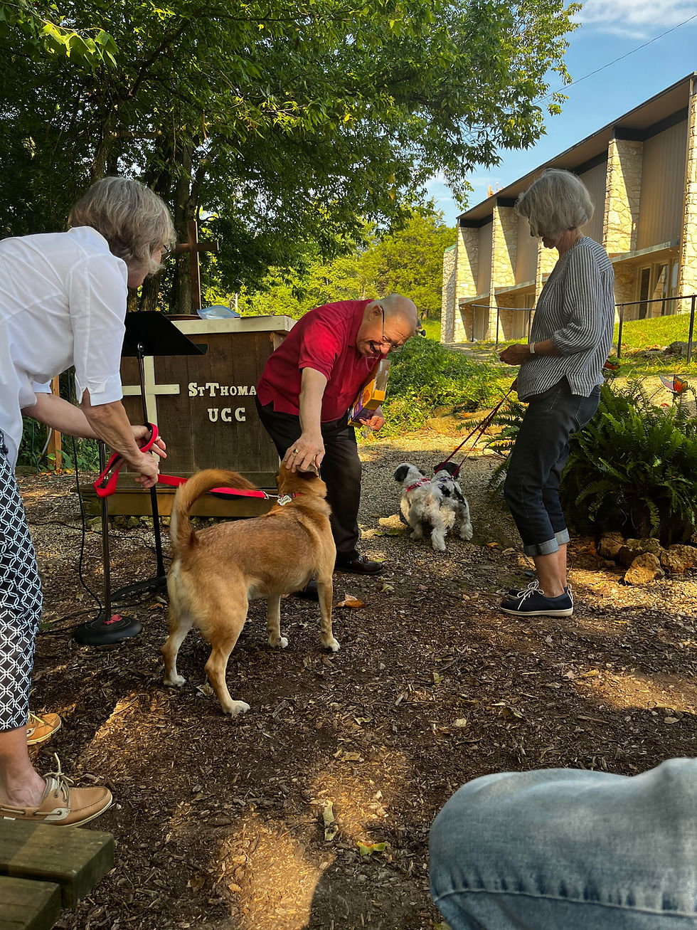 Pet Blessing