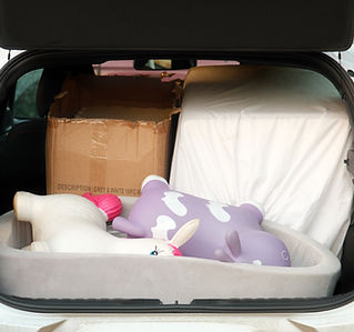 Click and collect package in car (2).jpeg