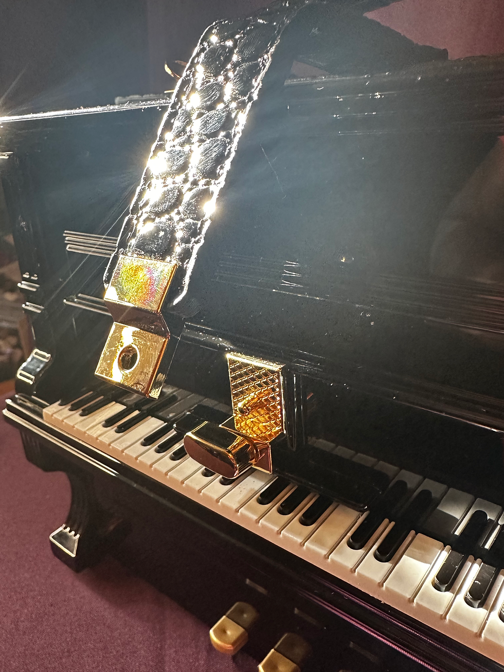 Thumbnail: Piano and I bag