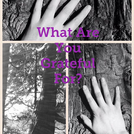 What are you grateful for?