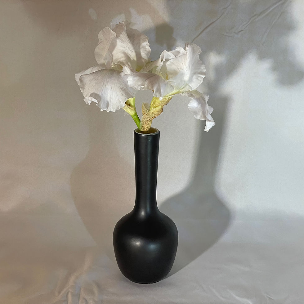 Royal Haeger R68  Bud Vase Matte Black