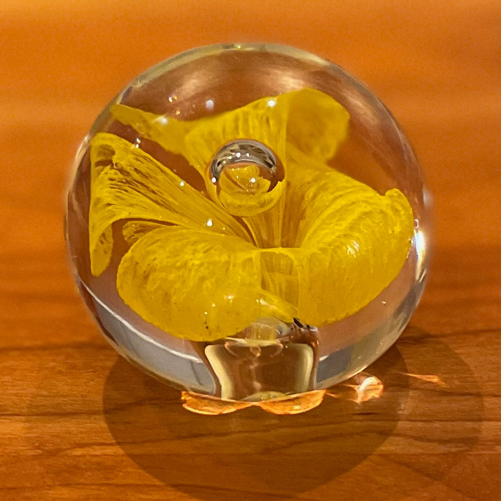 Thumbnail: Vintage Paperweight Opened Yellow Tulip with Blooming Bubble