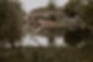 BasilPlace_edited.jpg