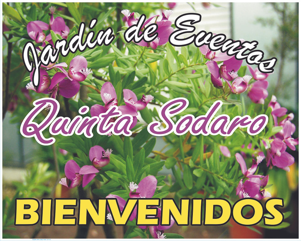 04 jardin  DYO  2.50x2  F 942  12-11-10