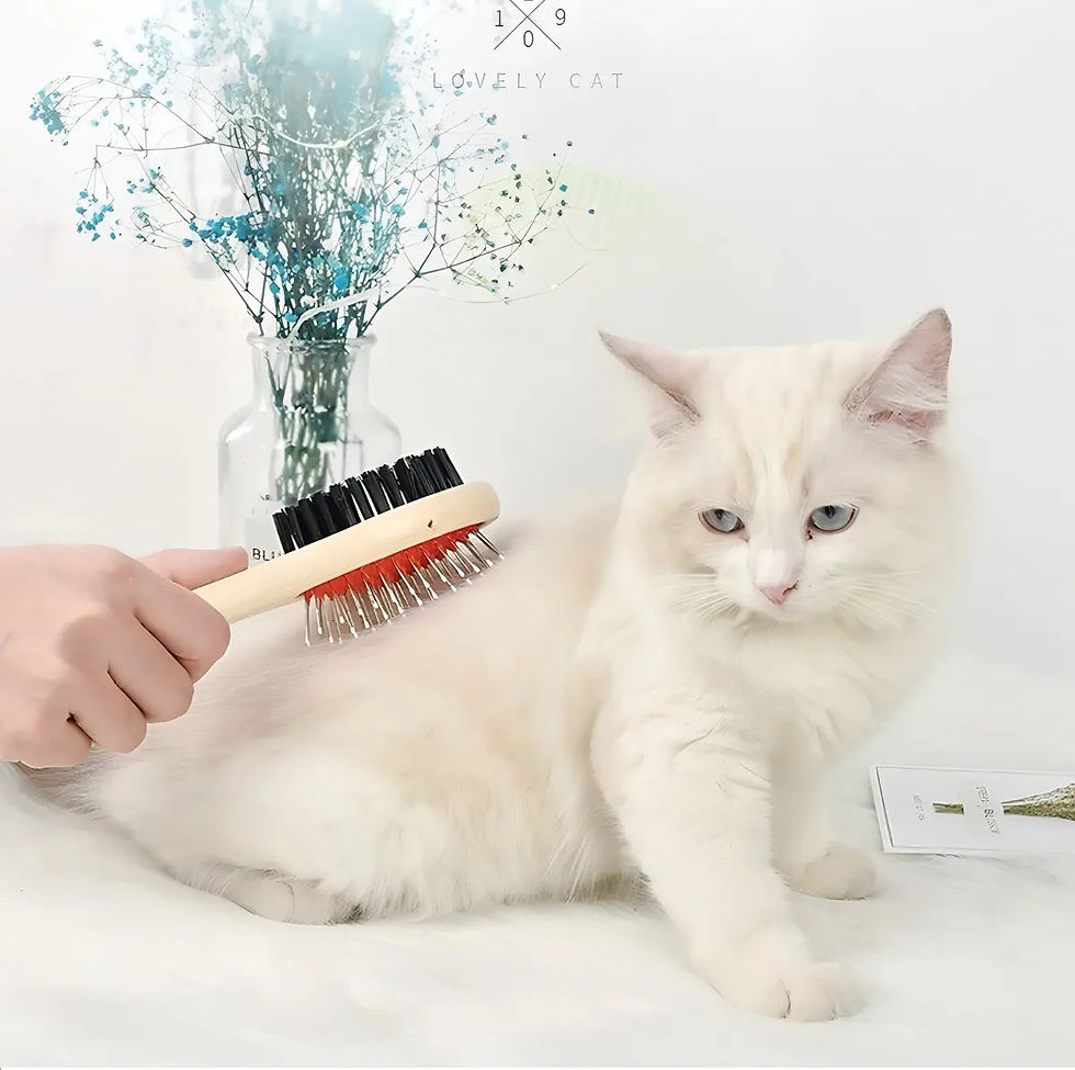 Miniatura: Escova Rasqueadeira Para Gatos Cão Pet Removedora De Pelos