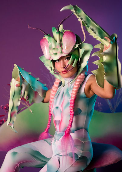 mantis seated close up v1 IG.jpg