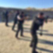 armed security, personal protection