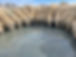 IMG_5091.jpeg
