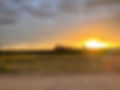 IMG_6684.jpeg