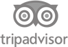 1200px-TripAdvisor_logo.svg copy 2.png