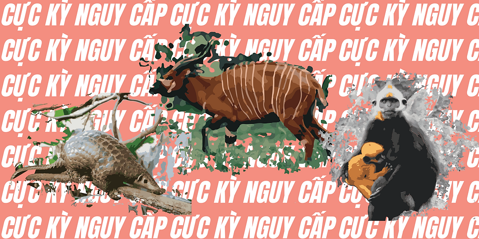 CỰC KỲ NGUY CẤP.png