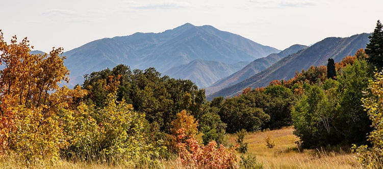 Mountain Views_edited.jpg