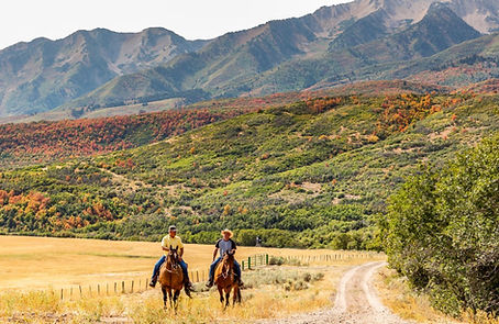 Horseback riding.jpg