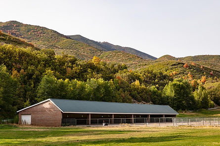 Horse Stables.jpg