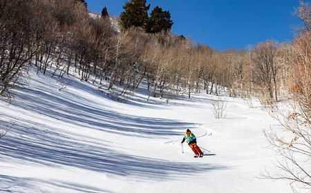 Skiing.jpg