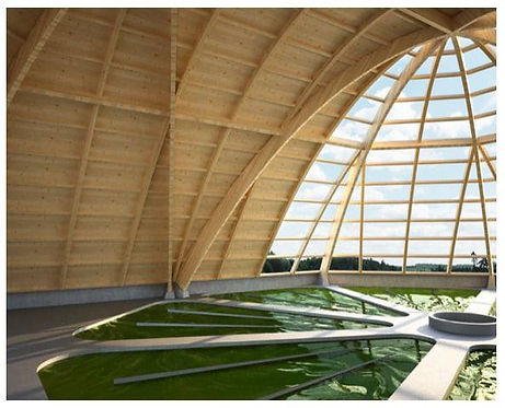 Earth Power Lodge.jpg