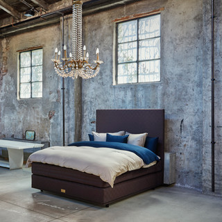 Hastens Marwari fiisschenconcept