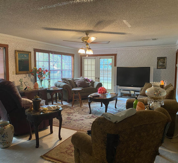 living area.jpeg