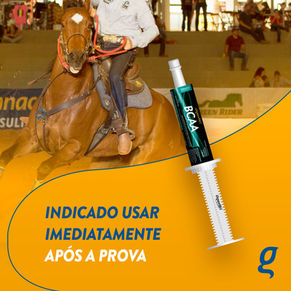 169590_ORGANNACT EQUI_FB_12_FEV_2_1.jpg