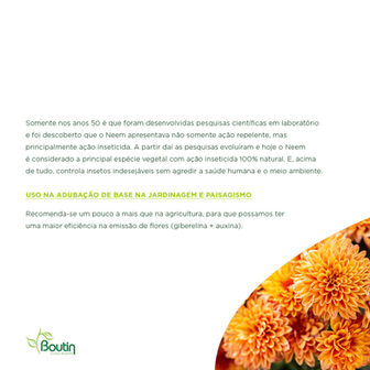 #141227_BOUTIN_CATALOGO_TORTA TERRA NEEM_5.jpg