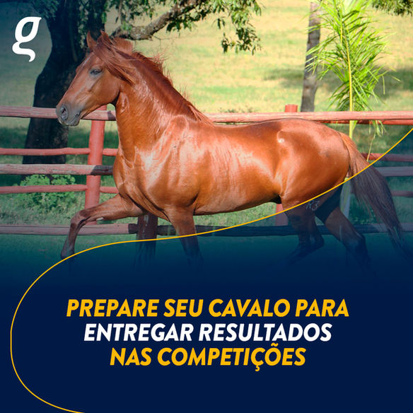 169590_ORGANNACT EQUI_fb_slide 17_18_FEV_2.jpg