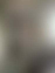 🎄2025年極月🎄