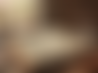 The Book of Proverbs