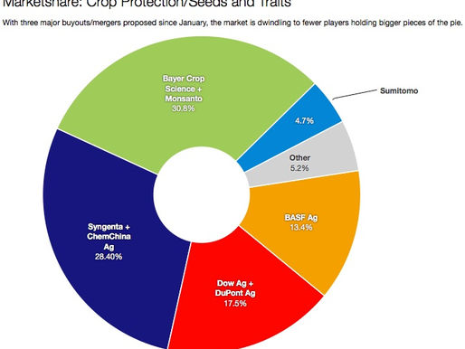 Farm Journal: Bayer, Monsanto Discuss ‘Obvious Overlaps,’ Possible Divestments