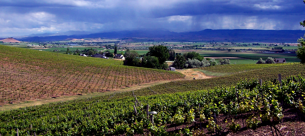 Fujishin Family Cellars