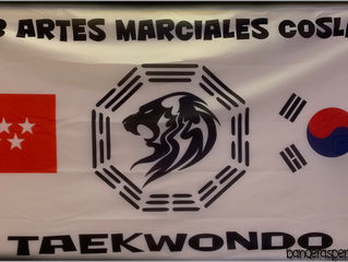 Bandera 2x1 para Club artes marciales Coslada