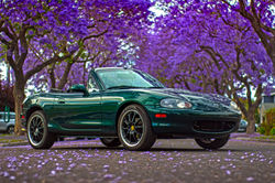 Green sport car convertable and purple trees