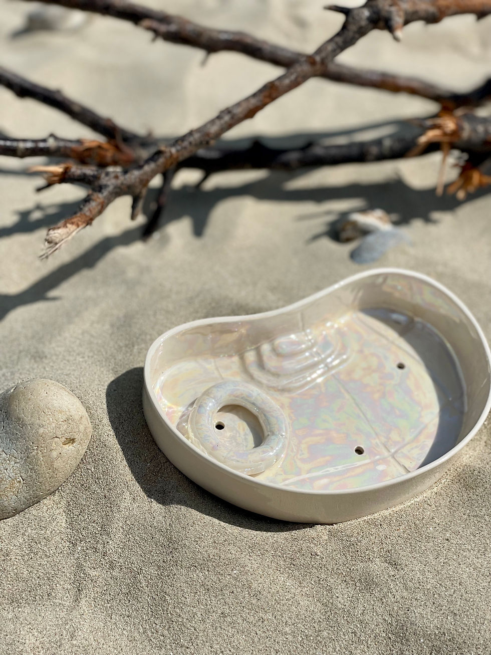 Miniature : piscine coquillage