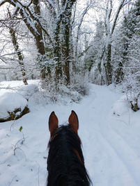 WhatsApp Image 2023-05-22 at 18.08.25.jpeg