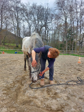 WhatsApp Image 2023-05-22 at 18.08.00.jpeg