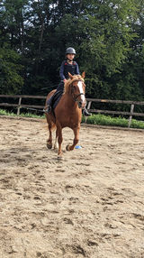 WhatsApp Image 2023-07-21 à 07.19.40.jpg