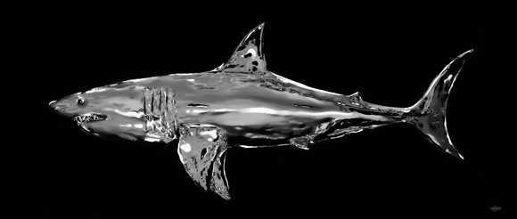 SHARK OF THUNDERBALL 1965