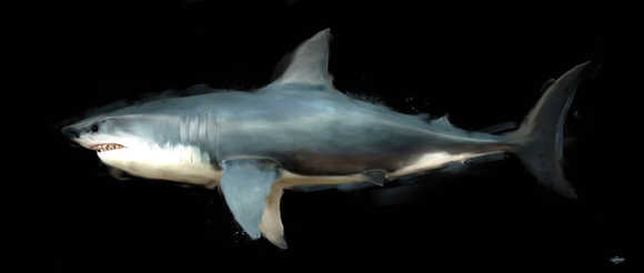 SHARK