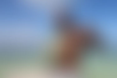 O'Shaquie Foster: You've Only Seen 50 percent of Me