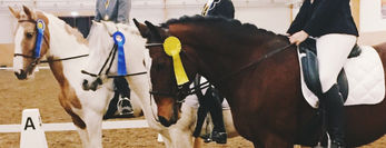 Startlistor Klubbmästerskap i hoppning och dressyr