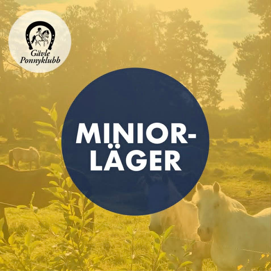 Sommar 2026: Ridläger 4A Miniorläger
