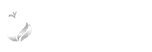 4_edited.png