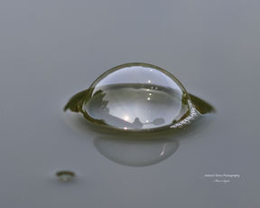 IMG_6031-bubble 1a.jpg
