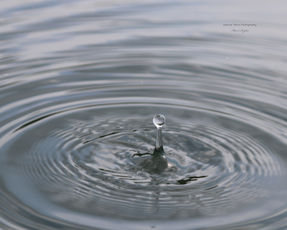 IMG_1139 water 1.jpg