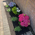 Weed control Wigan