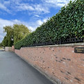 Hedge trimming Wigan